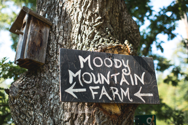 Moody Mountain Farm