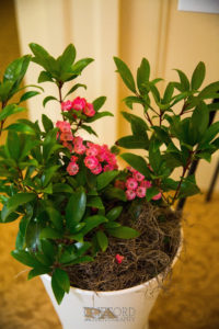 Mountain Grand View Resort